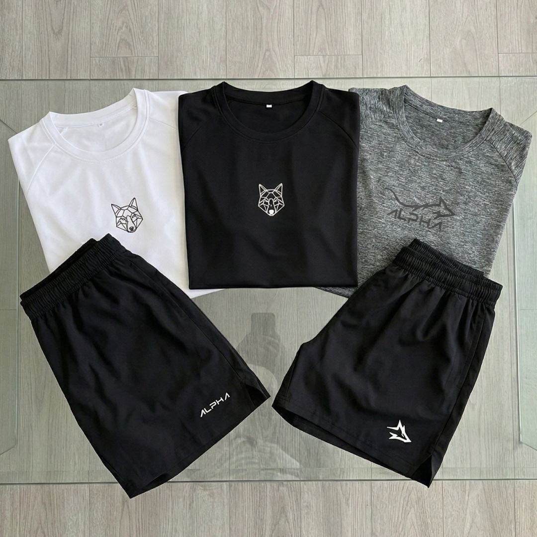 Kit 5 Peças Dry 3 Camisetas E 2 Bermudas Alpha